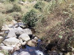 -苍山感通索道
