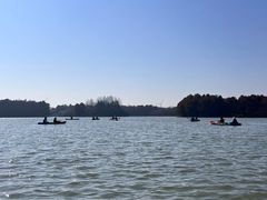 -上海海湾国家森林公园