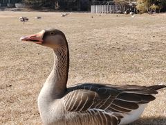 -银树楼(紫玉山庄东区店)