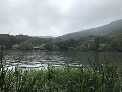 -紫金山山顶公园