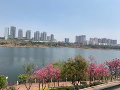 -酤居湖景音乐餐吧(安宁店)