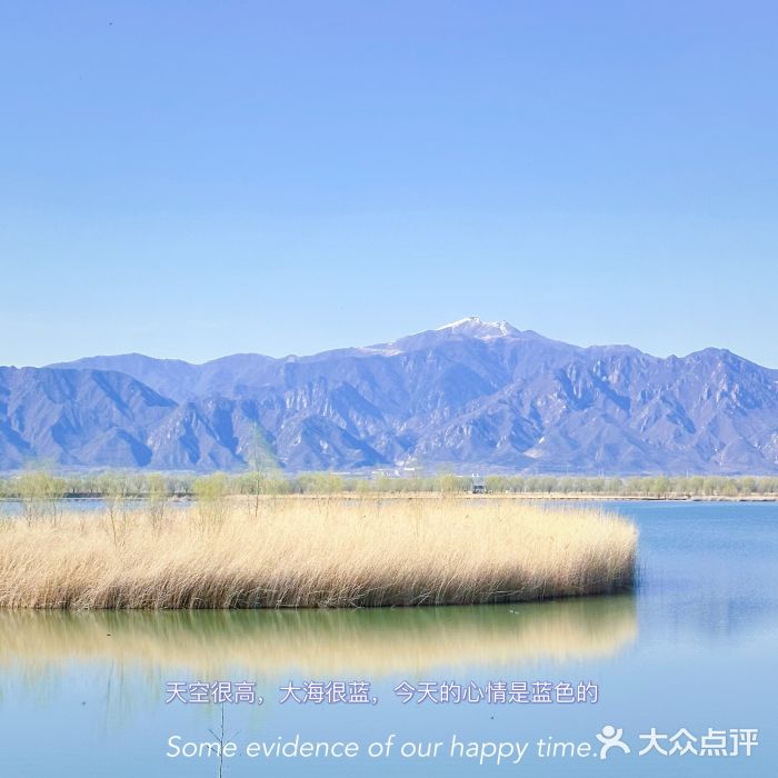 野鸭湖国家湿地公园图片