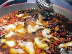 -雲蜀龙阁·金牌水煮鱼(方庄店)