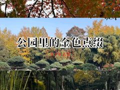 -水绘园