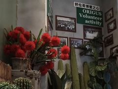 -好伦哥比萨烤肉自助(八里桥店)
