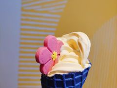 -麦当劳(温州人民路店)