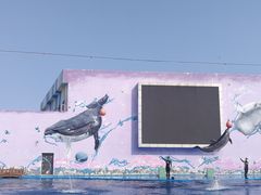 -北戴河圣蓝海洋公园