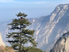 -华山风景名胜区