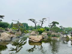 -罗红摄影艺术馆