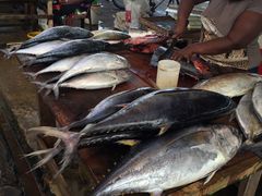 -尼甘布海鲜市场