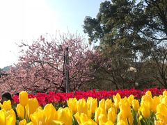 -南山植物园