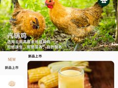 -云海肴·汽锅鸡·云南菜(美罗城店)