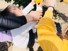 -前小桔亲子创意农场·草莓采摘·露营烧烤