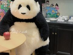 -轩客会(熊猫书店)