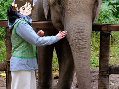 -野象谷景区