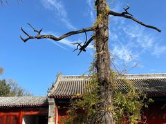 -承恩寺