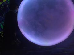 -南昌梵高星空艺术馆