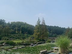 -铁山坪森林公园