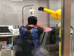 -宠福鑫康馨动物医院·骨科·眼科