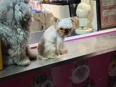 -金悦足道(宝岗大道店)