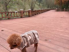 -四季轩中餐厅(徐州开元名都大酒店)