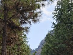 -南武当山景区