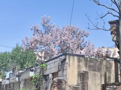 -百味地锅鸡(铜山路店)