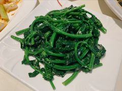 广东菜心苗-衡山汇·高级粤菜(霄云路店)