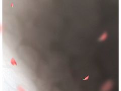 -绝味鸭脖(武昌火车站二店)