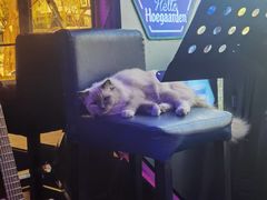 -悦界酒吧(后海店)