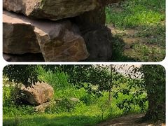 -乐和乐都主题乐园