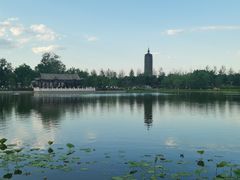 -西海子公园