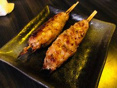 鸡肉棒-串鑫