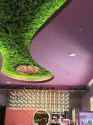 -花隐·美芙炫海菲秀皮肤管理中心