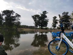 -两河城市森林公园