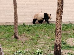 -石家庄市动物园