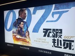 -奥斯卡升龙国际影城(RealD Cinema)