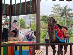 -灵玲国际马戏城
