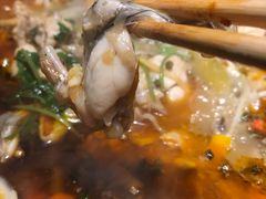 -沪小二炭火蛙锅(淮海中路美食不夜城店)