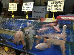 水产区-蚝得喜海鲜(东城店)