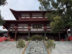 -潜山国家森林公园