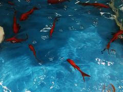 -沃尔玛购物广场(昆明大观店)