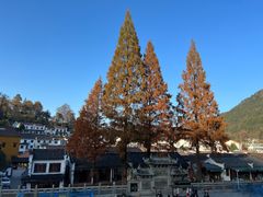 -九华山风景区
