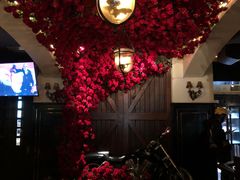 -碧特博格啤酒花园餐厅(芜湖路店)