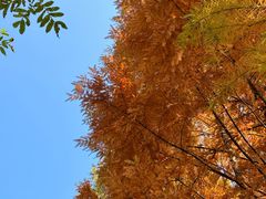 -兰亭风景区