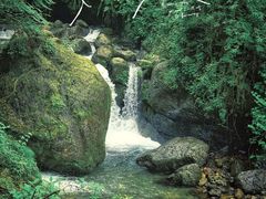 -瓦屋山景区