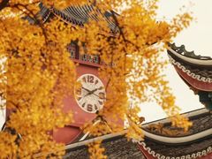 -四川大学(华西校区)