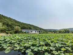 -龙寺生态园