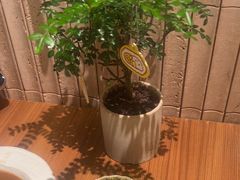 -CURRY YA 熟成咖哩專門店(深圳湾万象城店)
