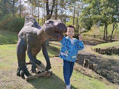 -田园东方蜜桃村的田野营地